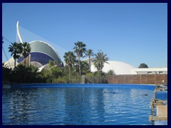 L'Oceanogràfic Oceanarium 118